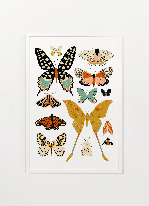 Butterfly Collector Art (Portrait)