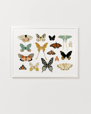Butterfly Collector Art (Landscape)